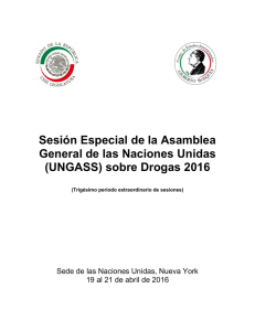 Sesión Especial de la Asamblea General de las Naciones Unidas