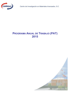 PROGRAMA ANUAL DE TRABAJO (PAT)