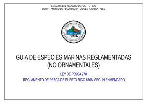 guia de especies marinas reglamentadas (no