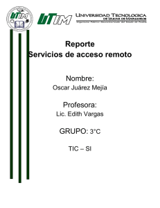 Reporte Servicios de acceso remoto