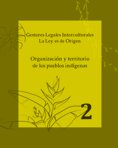 Organización y territorio de los pueblos indígenas