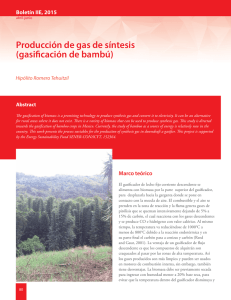 Producción de gas de síntesis (gasificación de bambú)
