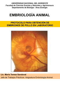 Protocolo para obtencion de embriones de pollo en laboratorio