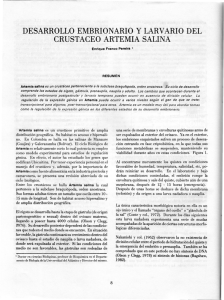 Page 1 DESARROLLO EMBRIONARIO Y LARVARIO DEL