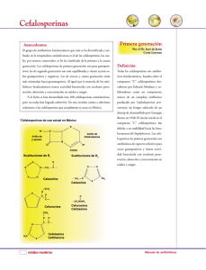 libro antibioticos- cefalosporinas