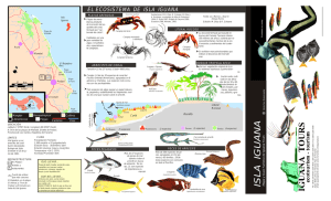 Mapa del ecosistema de Isla Iguana