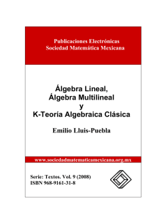 Álgebra Lineal, Álgebra Multilineal y K