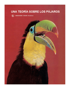 Los pajaros