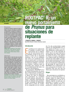 ROOTPAC® R: un nuevo portainjerto de Prunus para situaciones de