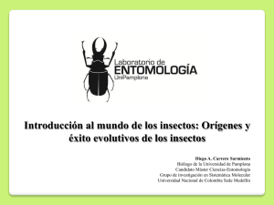 Origen y éxito evolutivo de los insectos