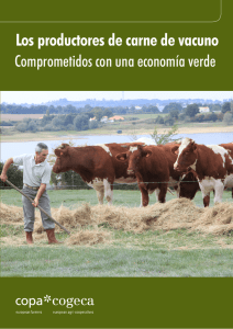 Los productores de carne de vacuno - Copa