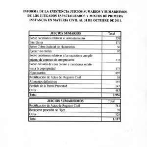 informe de la existencia juicios sumarios y sumarísimos de los