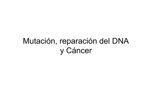 Mutacion y Cancer