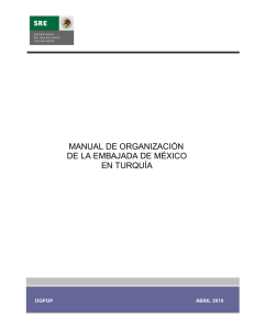 manual de organización de la embajada de méxico en turquía