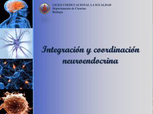 Integración y coordinación neuroendocrina