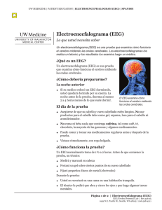 Electroencefalograma (EEG) - Health Online