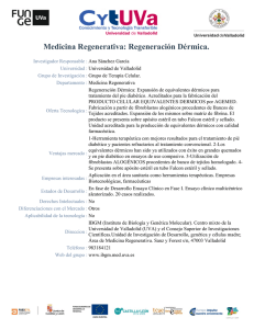 Medicina Regenerativa: RegeneraciÃ³n DÃ©rmica.