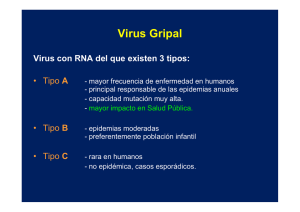 Virus Gripal - Euskadi.eus
