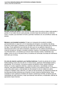 Los cinco elementos básicos de la horticultura