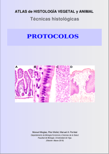 protocolos - Atlas de Histología Vegetal y Animal