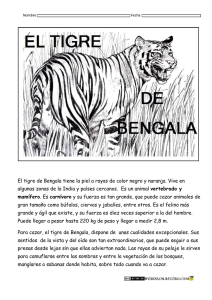 El tigre de Bengala tiene la piel a rayas de color negro y naranja