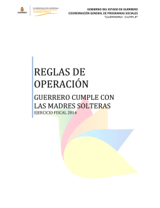 reglas de operación - Portal de captura de información fundamental