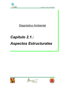 Capítulo 2.1.: Aspectos Estructurales