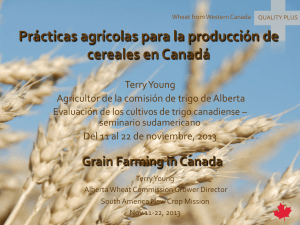 Prácticas agrícolas para la producción de cereales en Canadá