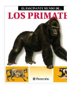 Los Primates
