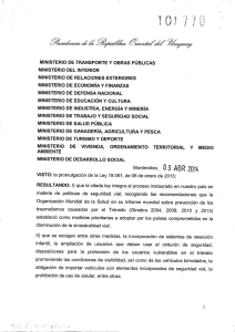 Reglamentación de Ley 19.061