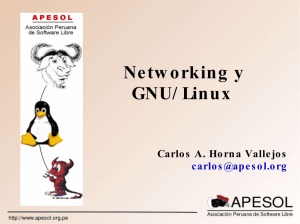 Networking y GNU/ Linux