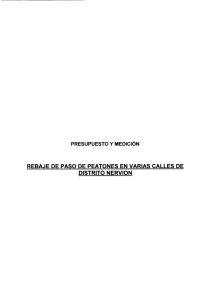 presupuesto y medición - Ayuntamiento de Sevilla