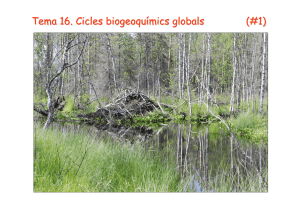 16. Cicles globals