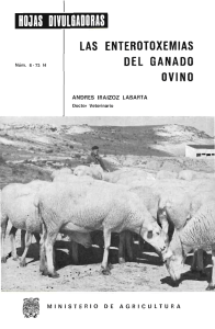 06/1973 - Ministerio de Agricultura, Alimentación y Medio Ambiente