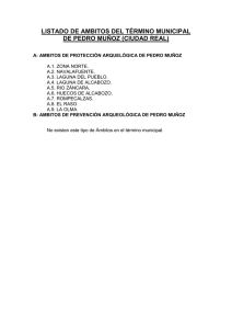 listado de ambitos del término municipal de pedro muñoz (ciudad real)