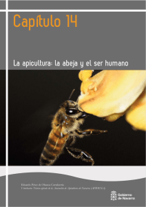Apicultura: la abeja y el ser humano - Gobierno