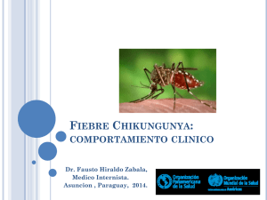Fiebre Chikungunya: comportamiento clinico