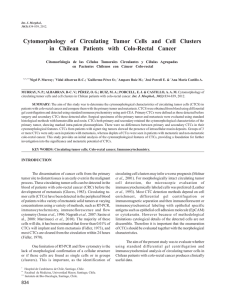 Cytomorphology of Circulating Tumor Cells and Cell