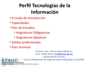 Perfil Sistemas de Información