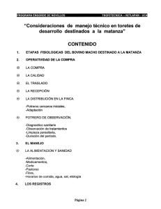 “Consideraciones de manejo técnico en toretes de desarrollo