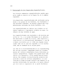 142 3. 3 Toxicología de los Plaguicidas Organo fosforados.