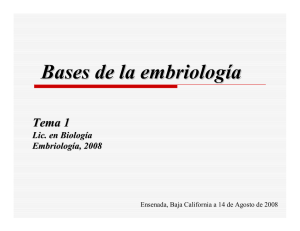 clase 1 - Embriología