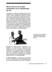 Efectos adversos en la salud relacionados con la contaminación