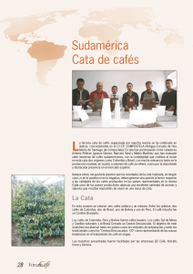Sudamérica Cata de cafés
