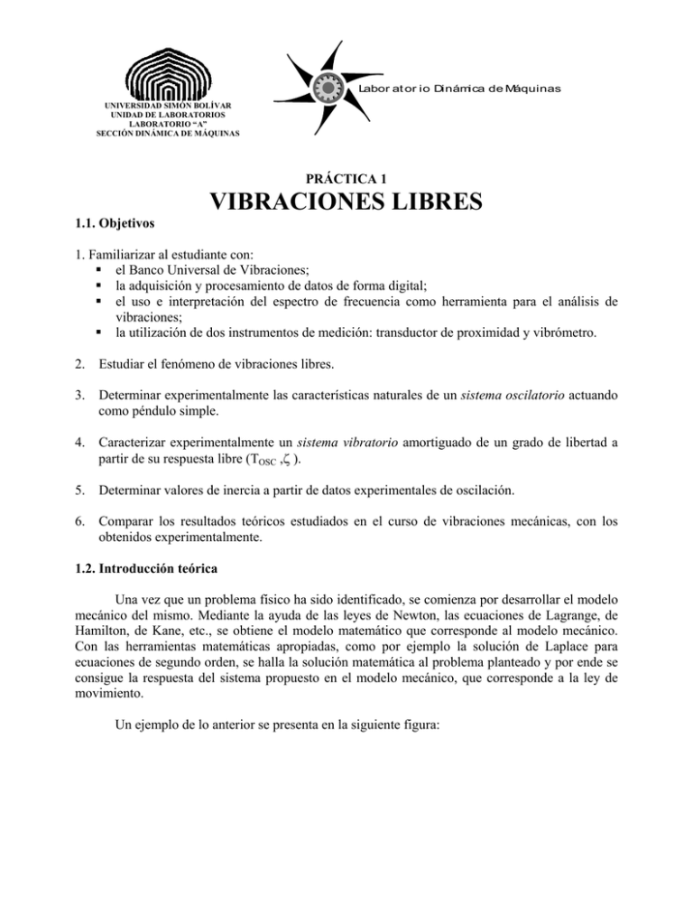 Vibraciones Libres Prof usb ve 