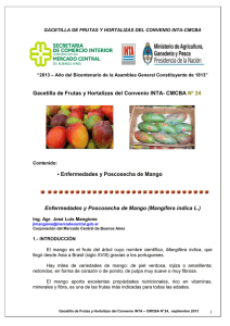 Gacetilla de Frutas y Hortalizas Nº 24. Convneio INTA