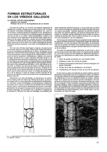 Formas estructurales en los viñedos gallegos