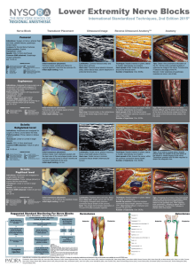 NYSOm Lower Extremity Nerve Blocks