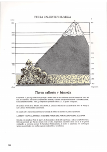 tierra caliente y humeda - patzelt