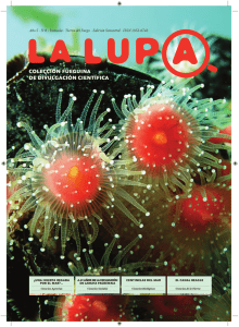 Revista La Lupa_8